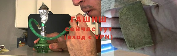 гашик Осинники