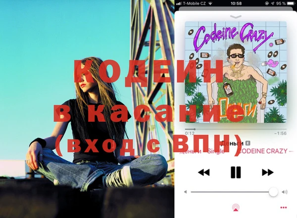 твердый Алзамай