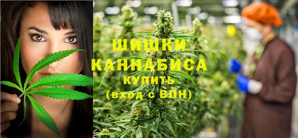 твердый Алзамай